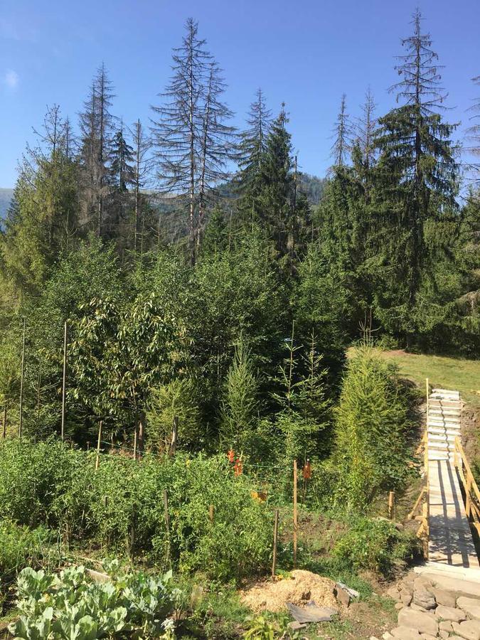 Wooddream 호텔 볼로베츠 외부 사진